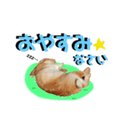 うさぎちゃんランド（個別スタンプ：4）