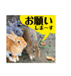うさぎちゃんランド（個別スタンプ：6）