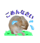 うさぎちゃんランド（個別スタンプ：7）