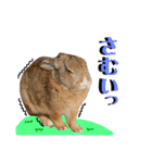 うさぎちゃんランド（個別スタンプ：12）