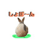 うさぎちゃんランド（個別スタンプ：13）