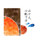 わたしみかん。（個別スタンプ：13）