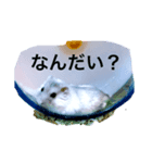 僕は生粋のお嬢様（個別スタンプ：4）