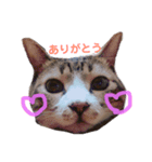 ふうちゃんの気持ち（個別スタンプ：3）