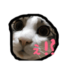 ちーーーーずくん.（個別スタンプ：2）