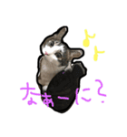 ちーーーーずくん.（個別スタンプ：6）