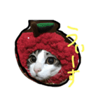 ちーーーーずくん.（個別スタンプ：16）