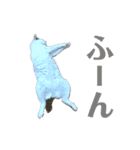 白黒猫 にゃん太くん（個別スタンプ：16）