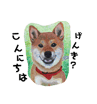 パグとお友達(アクリル画)挨拶①（個別スタンプ：12）