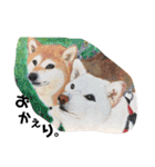 パグとお友達(アクリル画)挨拶①（個別スタンプ：16）