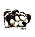 あっしゅと仲間たち♡（個別スタンプ：10）