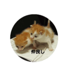 ききとじじ（個別スタンプ：4）