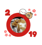 ききとじじ（個別スタンプ：8）