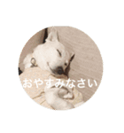 かりん日和♪（個別スタンプ：4）