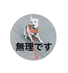 かりん日和♪（個別スタンプ：8）