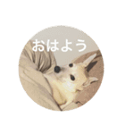 かりん日和♪（個別スタンプ：11）