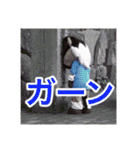 クロロとゆめな 実写スタンプ ver.1（個別スタンプ：34）