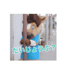 クロロとゆめな 実写スタンプ ver.1（個別スタンプ：38）