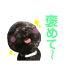 むく＆きゅうのスタンプ第1弾☆（個別スタンプ：4）