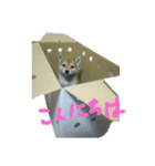 またお（個別スタンプ：7）
