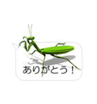 スマホの上のカマキリ（個別スタンプ：3）