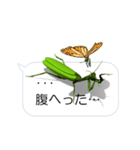 スマホの上のカマキリ（個別スタンプ：8）