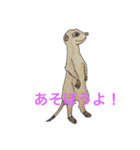 いやしの色えんぴつスタンプ①（個別スタンプ：6）