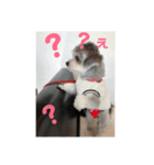 うぃるたん（個別スタンプ：3）