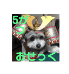 うぃるたん（個別スタンプ：8）