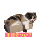 スコマンチのもちこさん（個別スタンプ：1）
