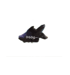 お魚さんたち001（個別スタンプ：4）
