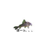 お魚さんたち001（個別スタンプ：7）