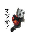 マルチワうるたん（個別スタンプ：3）