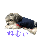 マルチワうるたん（個別スタンプ：4）