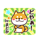 毎日使える！柴犬まどか（個別スタンプ：31）