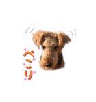 Terriers 1（個別スタンプ：6）