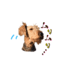 Terriers 1（個別スタンプ：8）