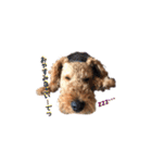 Terriers 1（個別スタンプ：18）