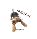 Terriers 1（個別スタンプ：22）