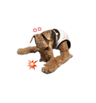 Terriers 1（個別スタンプ：23）