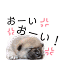 こあっち＆サーフSTAMP☆（個別スタンプ：40）