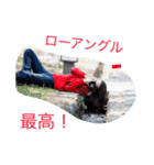 イルコ・光の魔術師・スタンプ！イェーイ（個別スタンプ：15）
