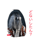 イルコ・光の魔術師・スタンプ！イェーイ（個別スタンプ：16）