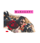 イルコ・光の魔術師・スタンプ！イェーイ（個別スタンプ：25）