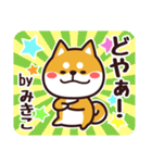 毎日使える！柴犬みきこ（個別スタンプ：31）