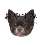 ℹ︎ am mozuku（個別スタンプ：3）