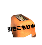 うちのレオパたち（個別スタンプ：13）
