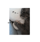 leo れおののんびり日常スタンプ（個別スタンプ：14）