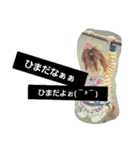 ここちゃん’s No2（個別スタンプ：13）