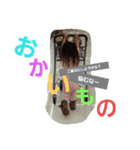 ここちゃん’s No2（個別スタンプ：16）